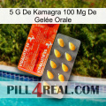 5 G De Kamagra 100 Mg De Gelée Orale new01